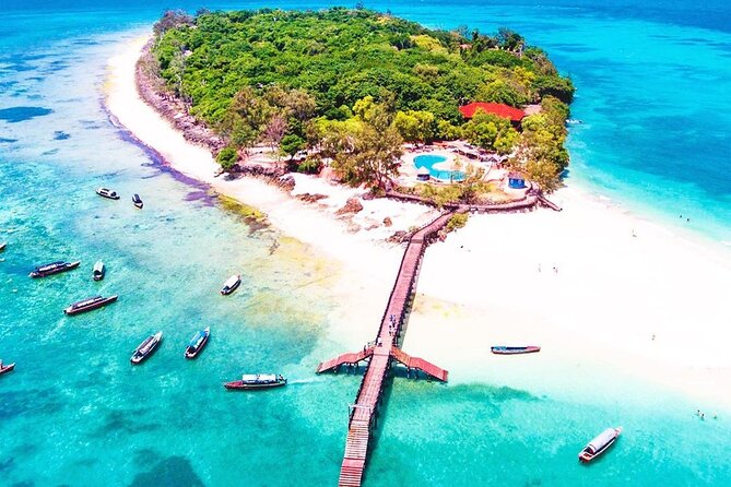 Giant tortoises on Prison Island