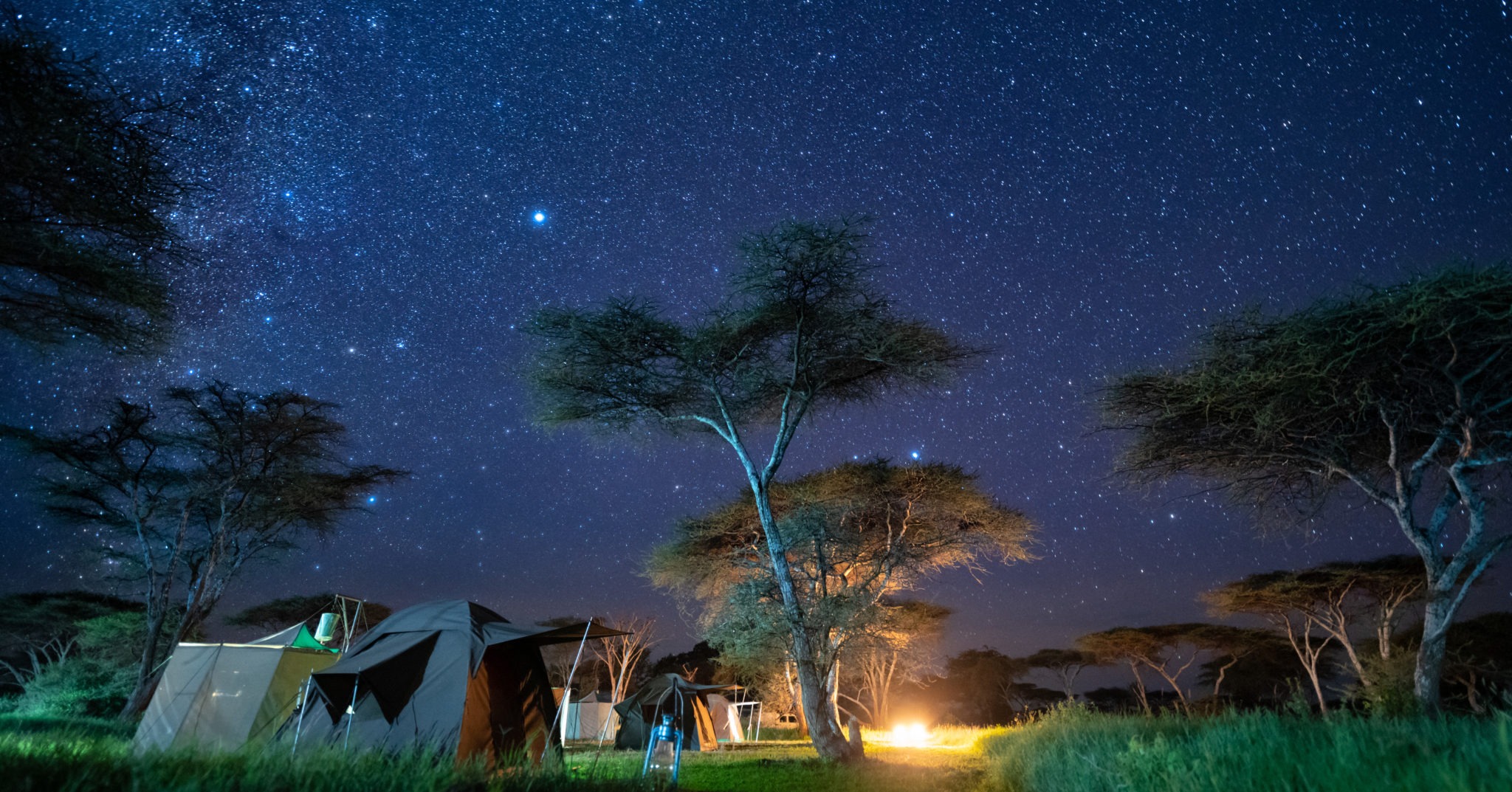 Tented camp under African night sky